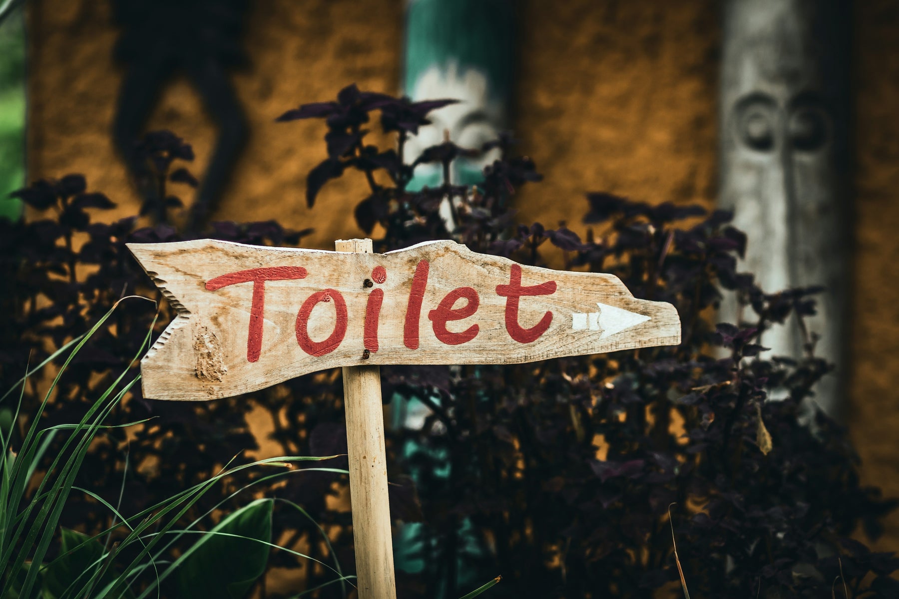 Helping Your Child with Incontinence - A Guide for Parents of Children with Autism or SPD