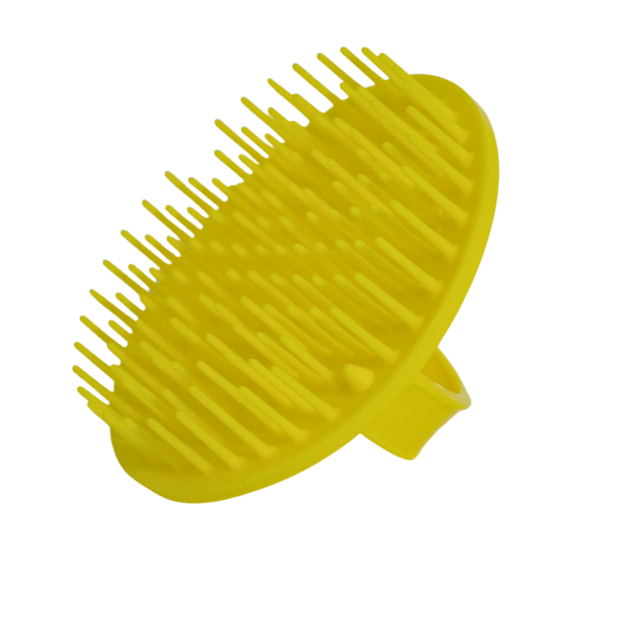 Denman - Detangling D6 Shower Brush