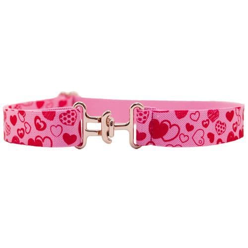 Dapper Snapper - Big Kids Easy Clasp Elasticated Belt